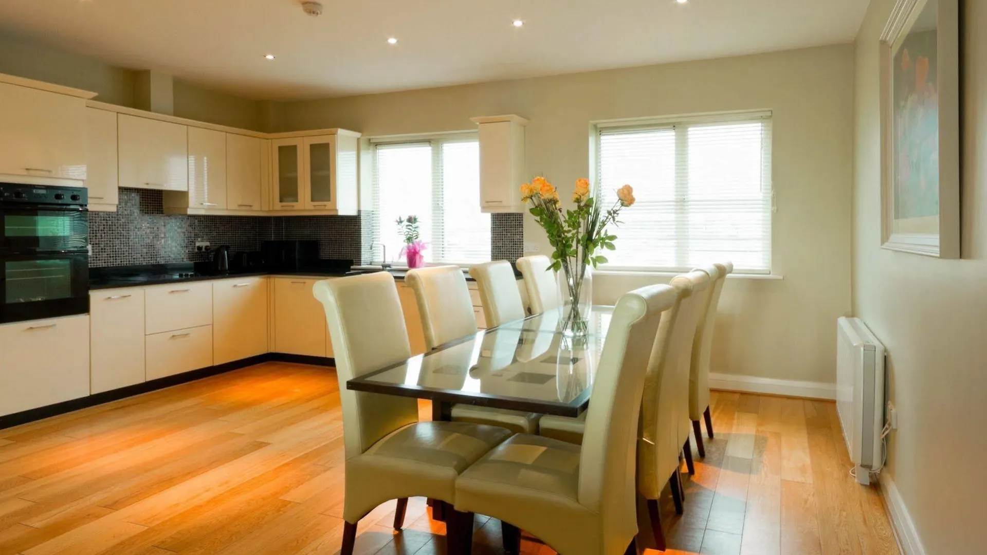 Aparthotel Jameson Court Apartments Galway